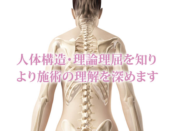松山市で解剖生理学を学ぶならジャパン・セラピストスクール