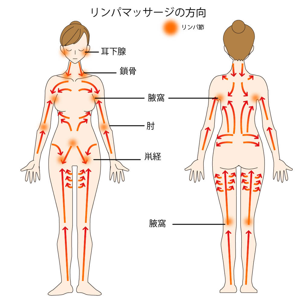 リンパドレナージュでは「流す方向」が大切