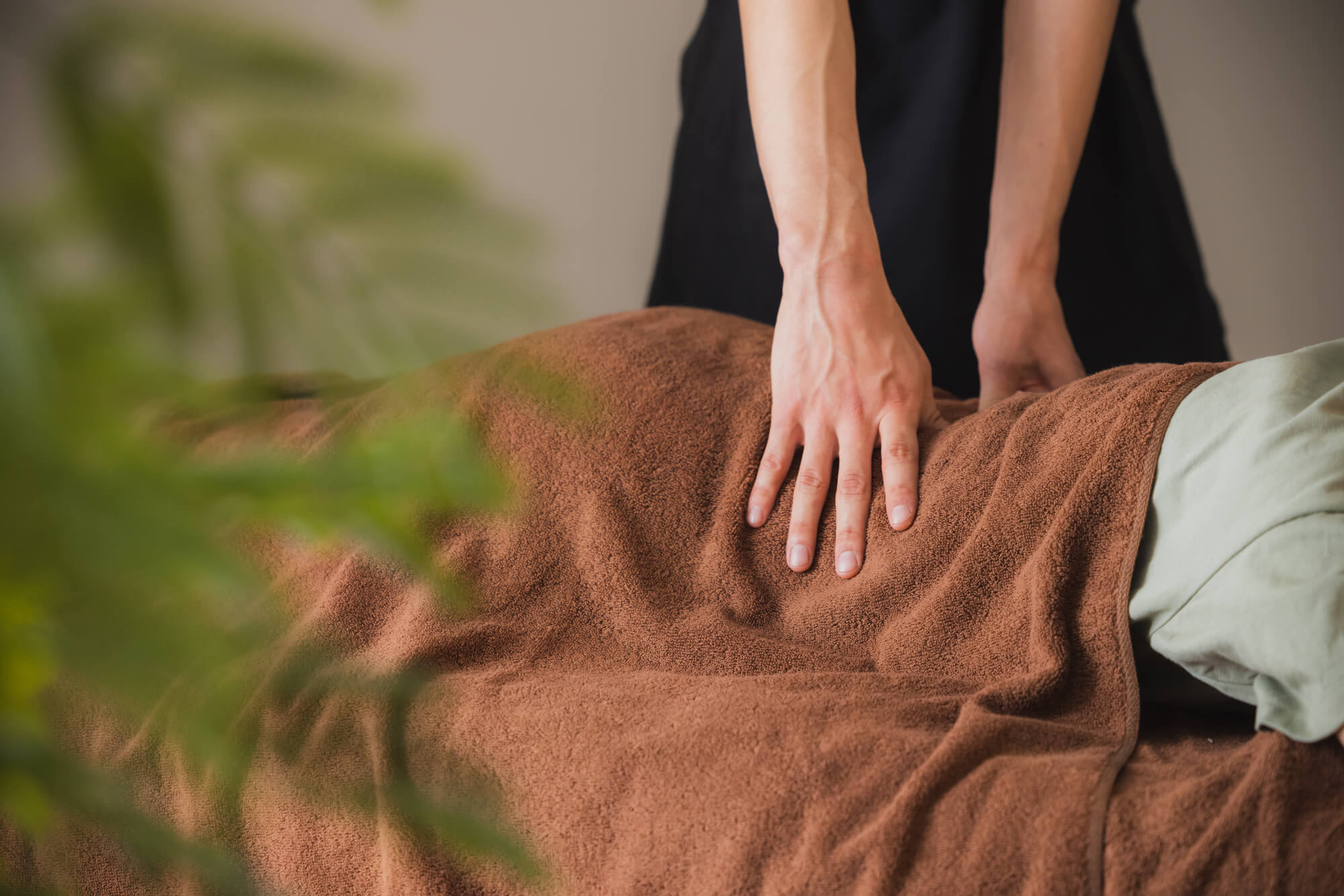 美容特化で「専門性」を高めるおすすめ人気資格