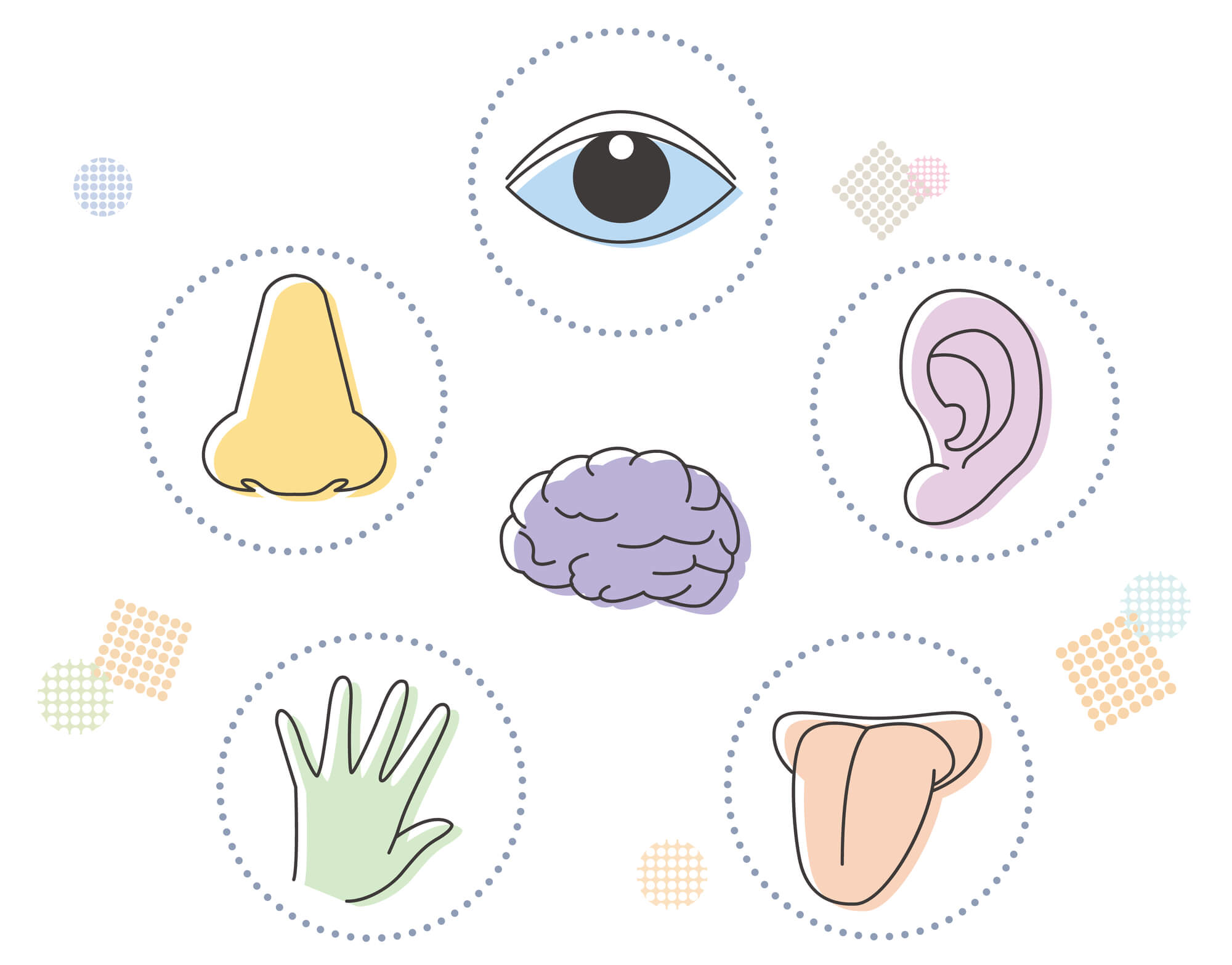 売上を最大化する「五感への訴求」と「タイプ別対応」